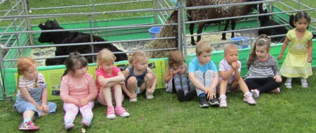 Fishers Mobile farm visit to YMCA Sefton